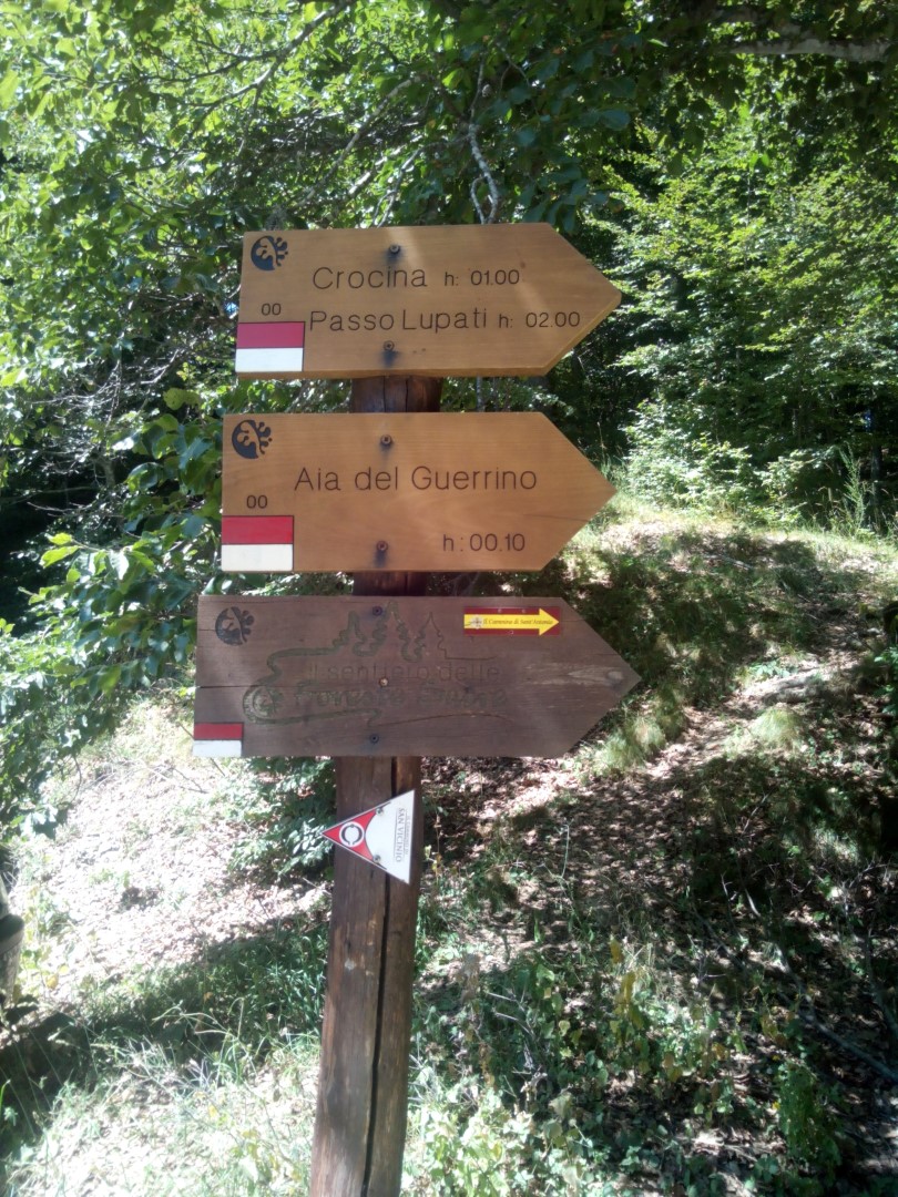 Escursione sul Monte Penna di Camaldoli escursione in casentino